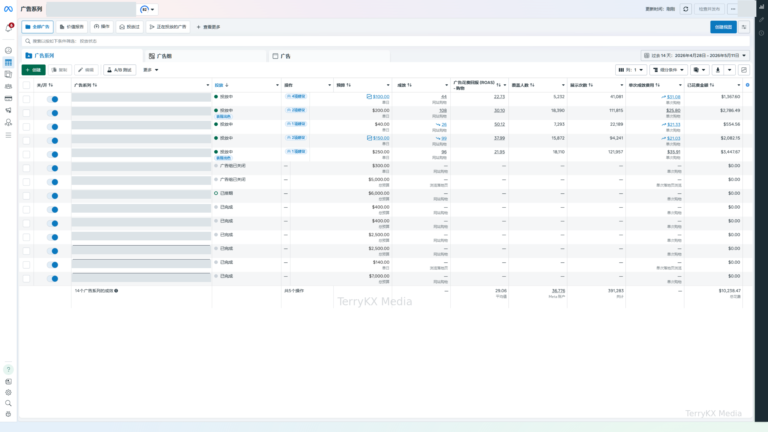 Anonymized Facebook Ads report for 28 April–11 May 2026 showing five visible purchase campaigns, $10,238.47 spend and 29.06 average purchase ROAS.